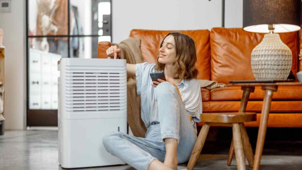 How to Choose a Dehumidifier