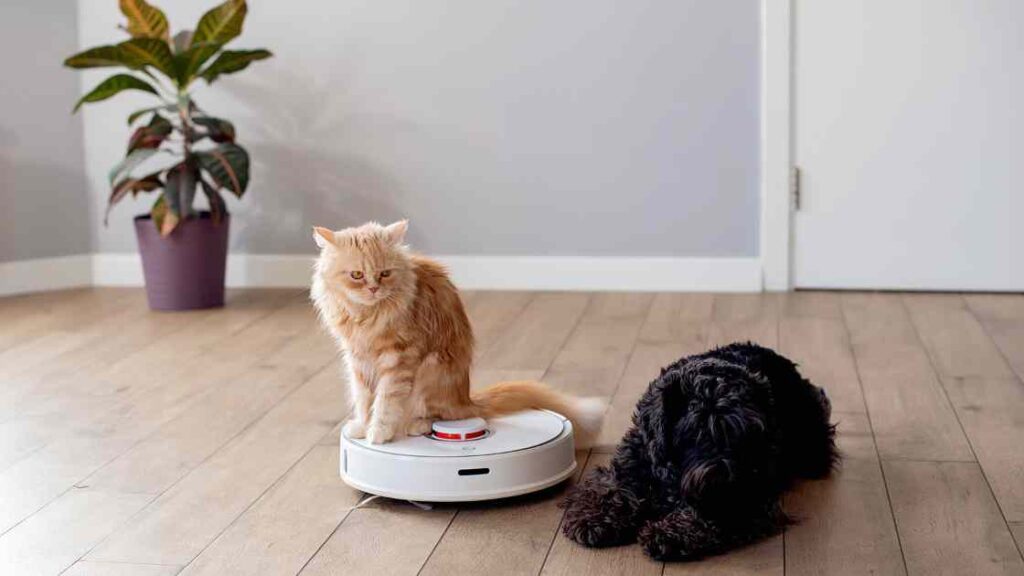 best Robot Vacuum for pet hair