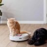 best Robot Vacuum for pet hair