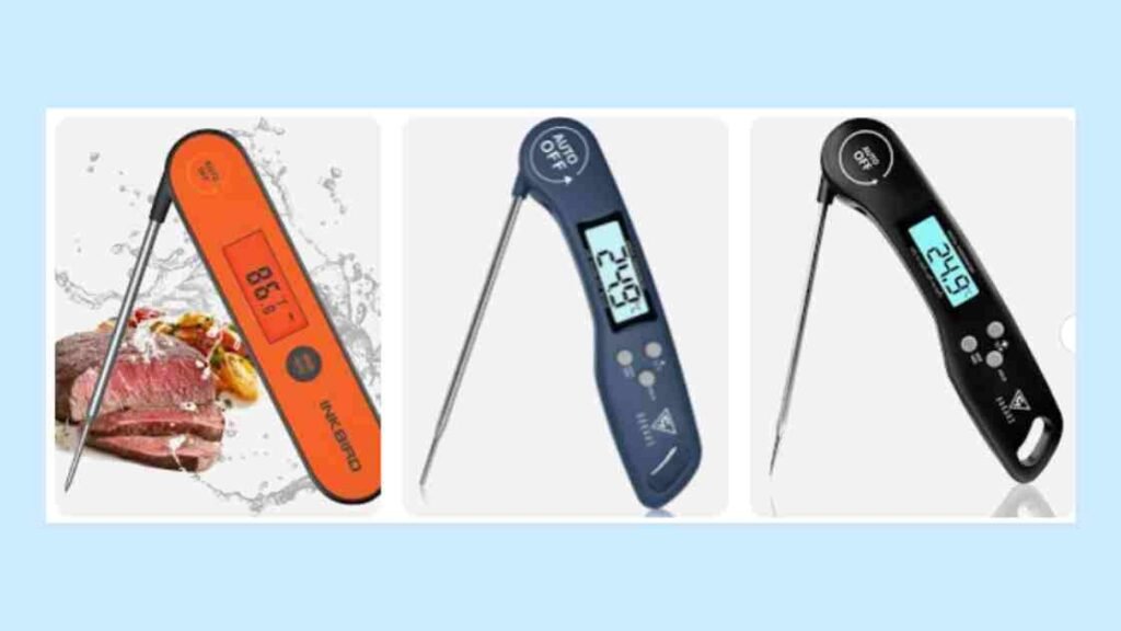 Quick-Read Digital Meat Thermometer