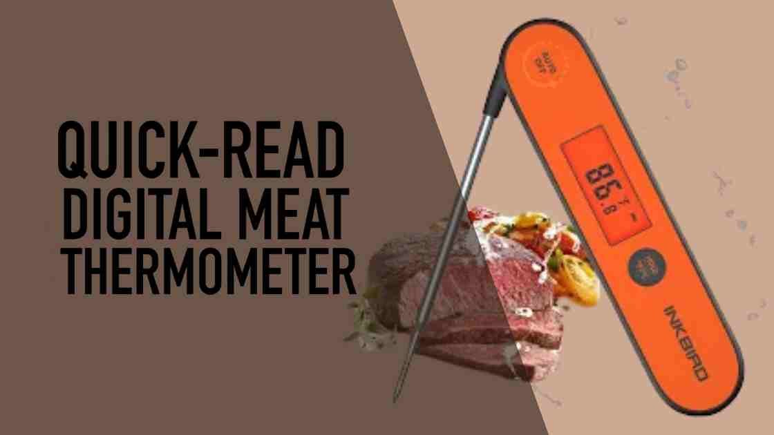 Quick-Read Digital Meat Thermometer